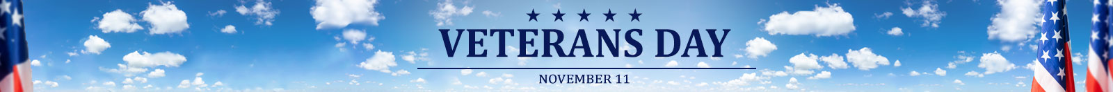 Veterans Day is November 11th