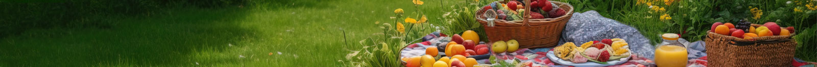 A picnic laid out on a plaid blanket in a grassy area.